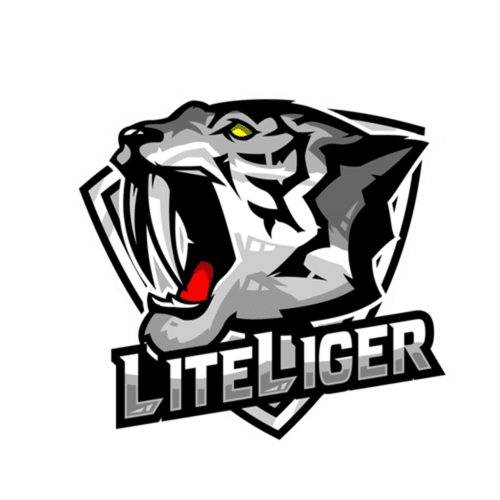 DJ Liteliger - Jungle Labyrinth Echo