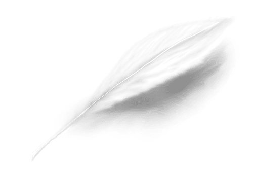 AngelVerse