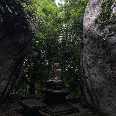 Echoes from the Rock