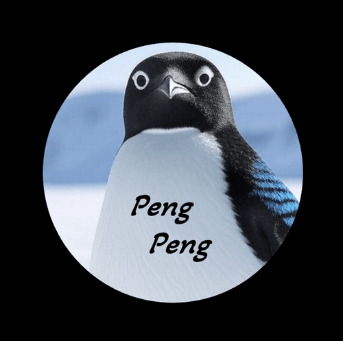 PengPengCoin