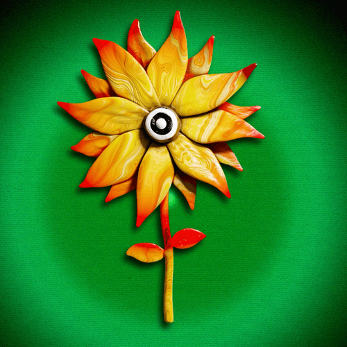 Rare Sunflower