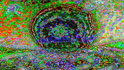 Glitch Witch