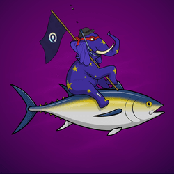 Ocean Racer #14011