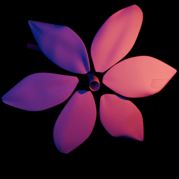 Royal Blossom