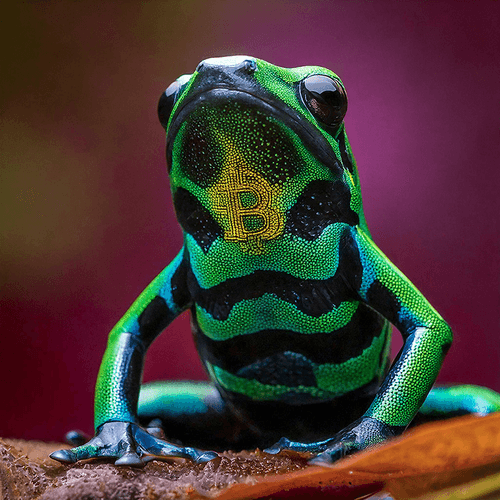 Bitcoin Poison Frogs