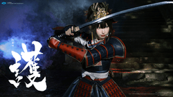 Invincible Castle Warrior (+Special Experience) collection image