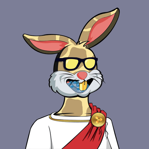 Rich Rabbits