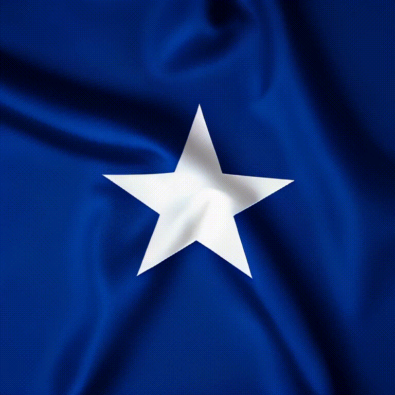 50 Stars of America