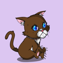 Kitten #314