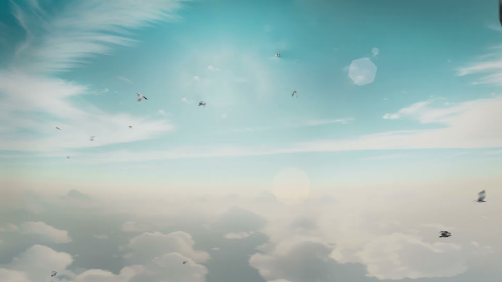 The Swarm: r = θ 11