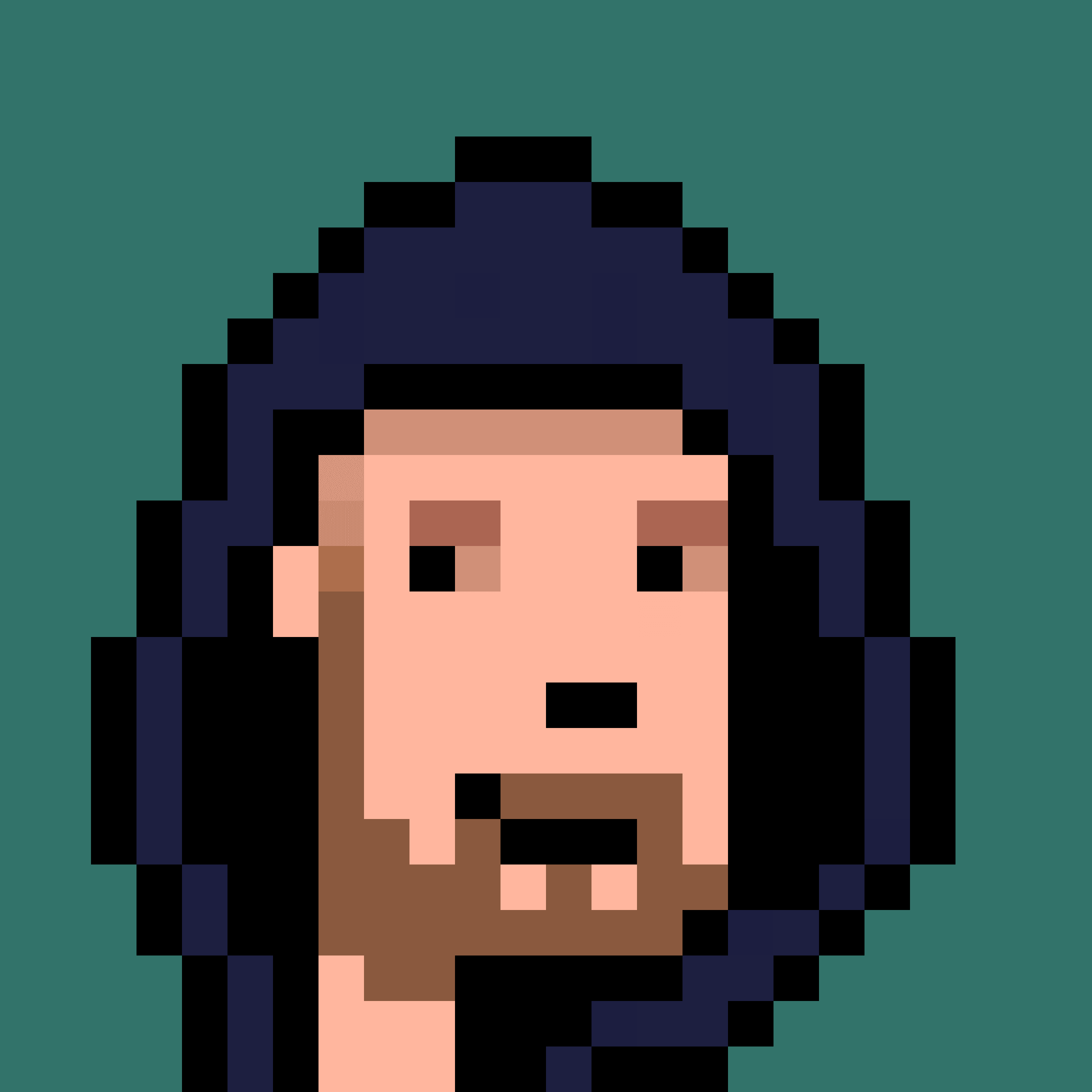 The Pixel Portraits - Collection