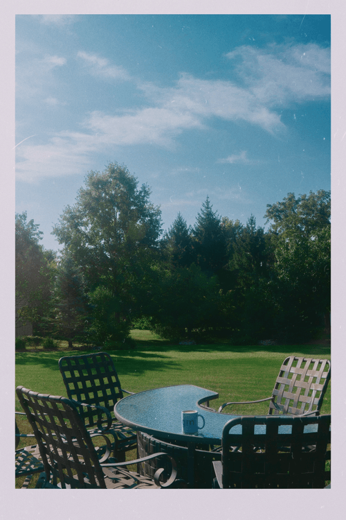 ryanfox.lens-Collect-2295