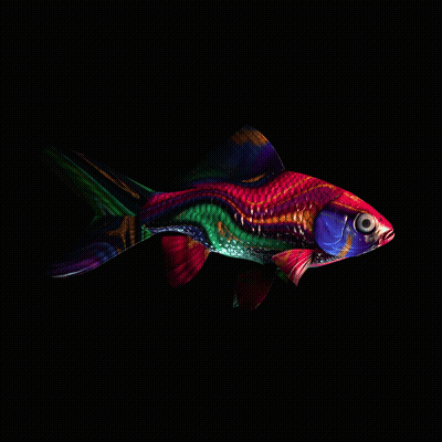 CryptoFish #386