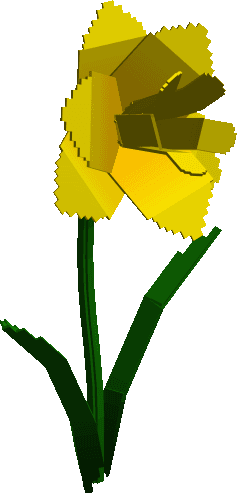 Giant Yellow Flower