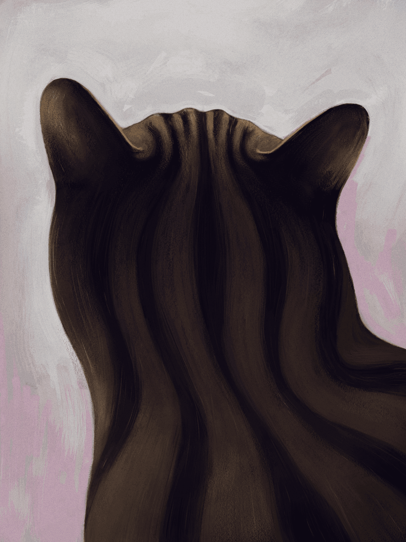 Back of a Cat