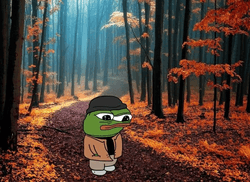 Pepe walk collection image