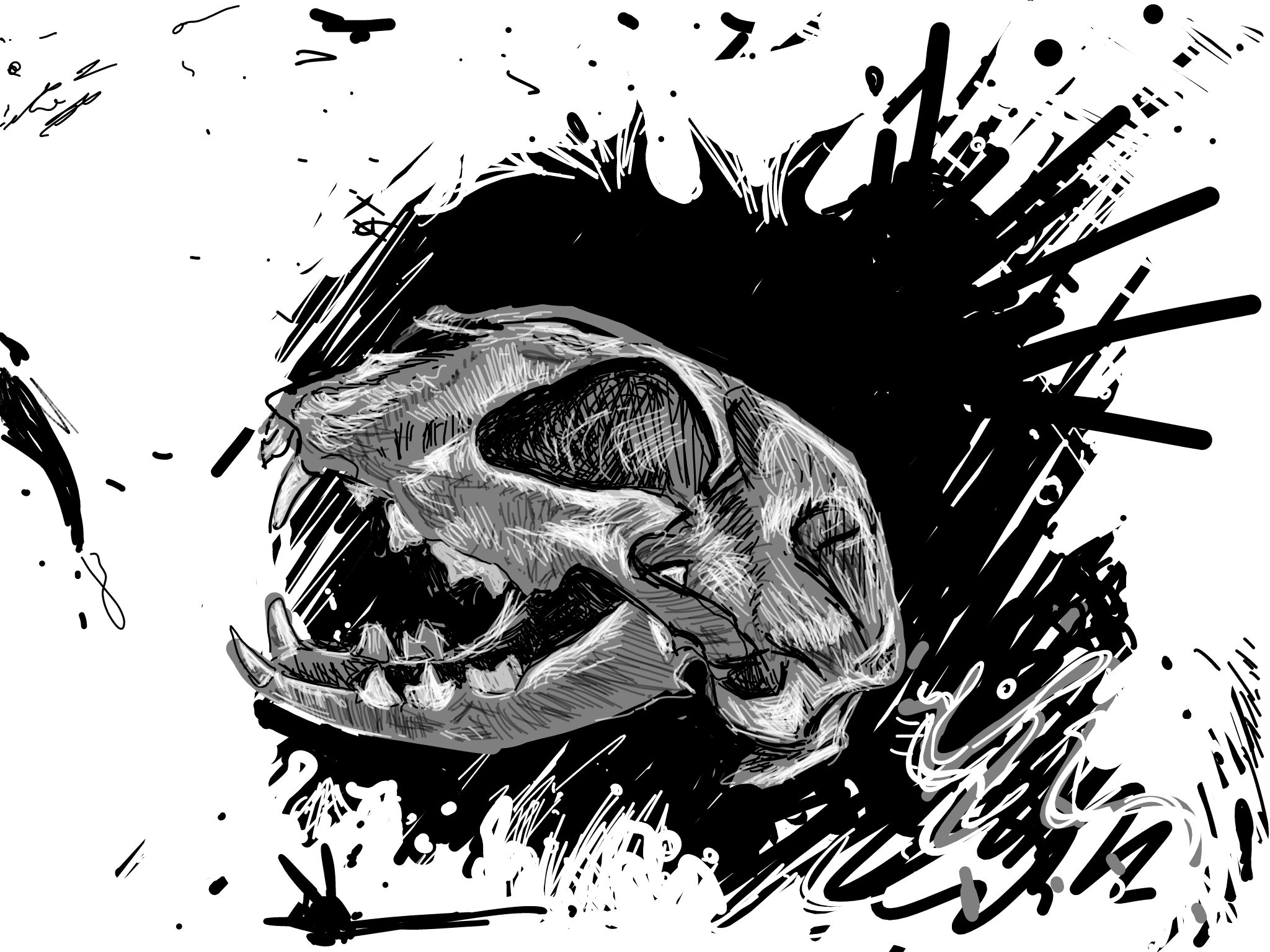 The Wild Skull