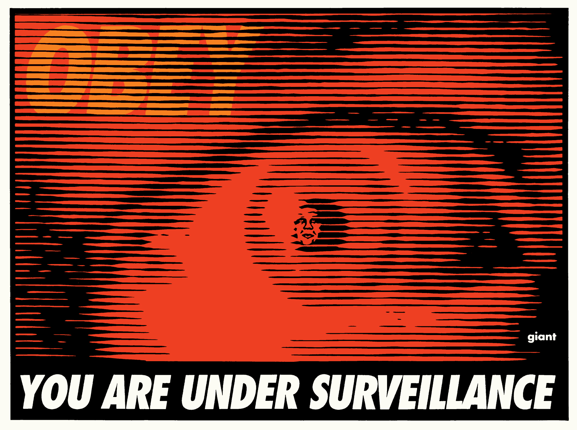 You Are Under Surveillance