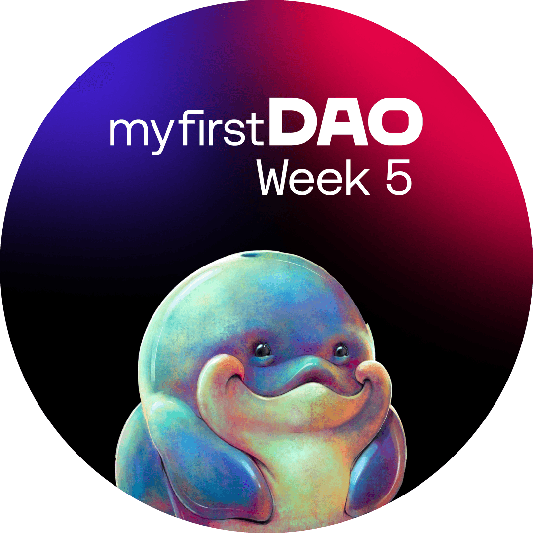 MFD Week 5