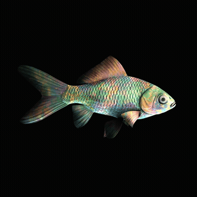 CryptoFish #4361