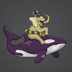 Ocean Racer #6049