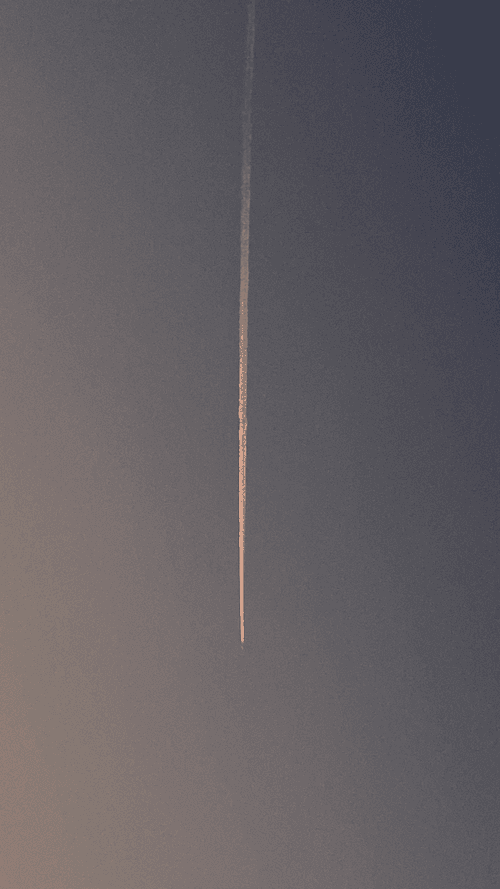 Rodeo posts