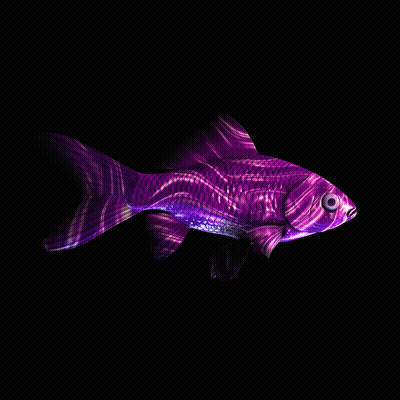 CryptoFish #2266
