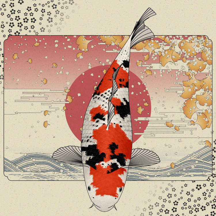 Carp and Seasons #5375