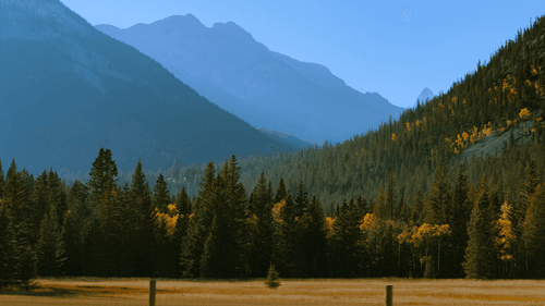quiet charms by priyanka