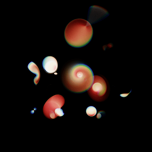Observation & Interaction 1