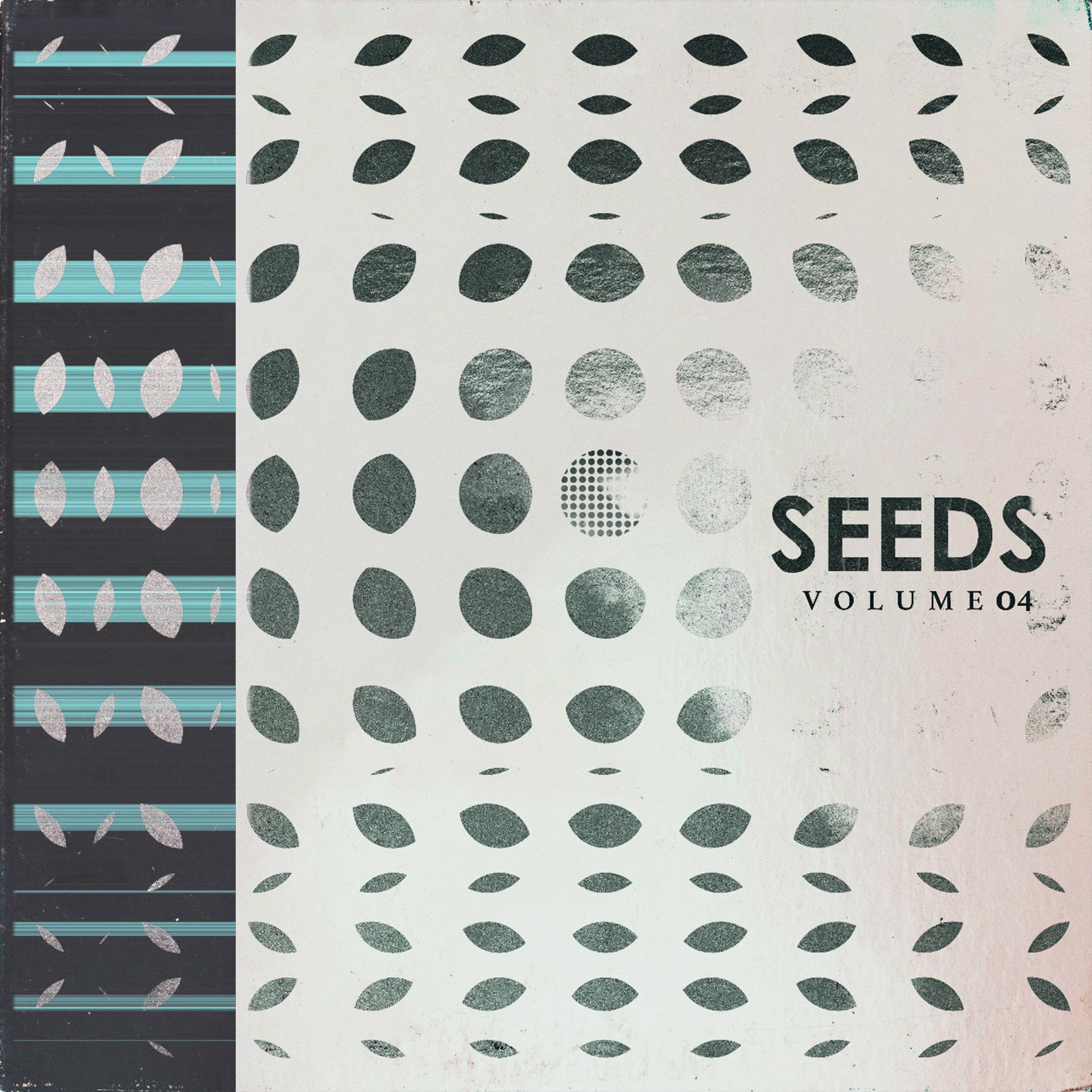 seed #34