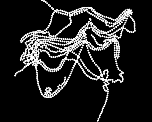 Chain 19