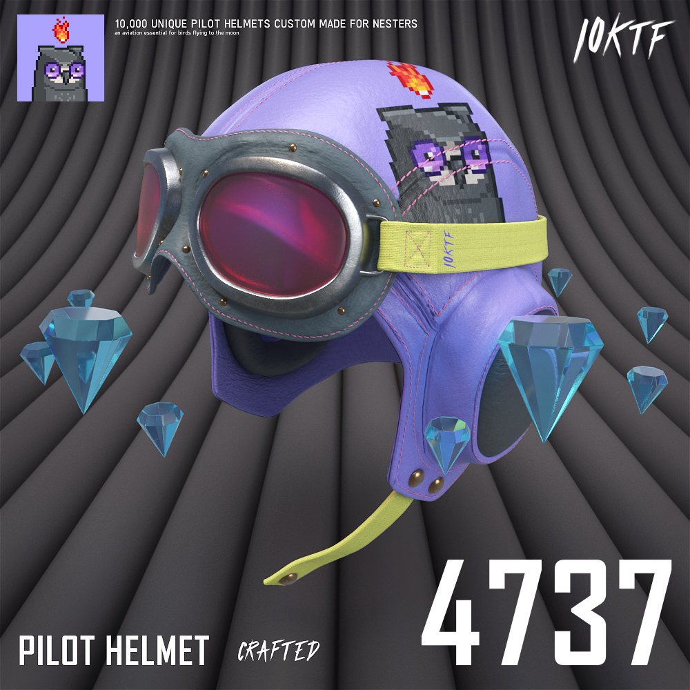 Moonbird Pilot Helmet #4737