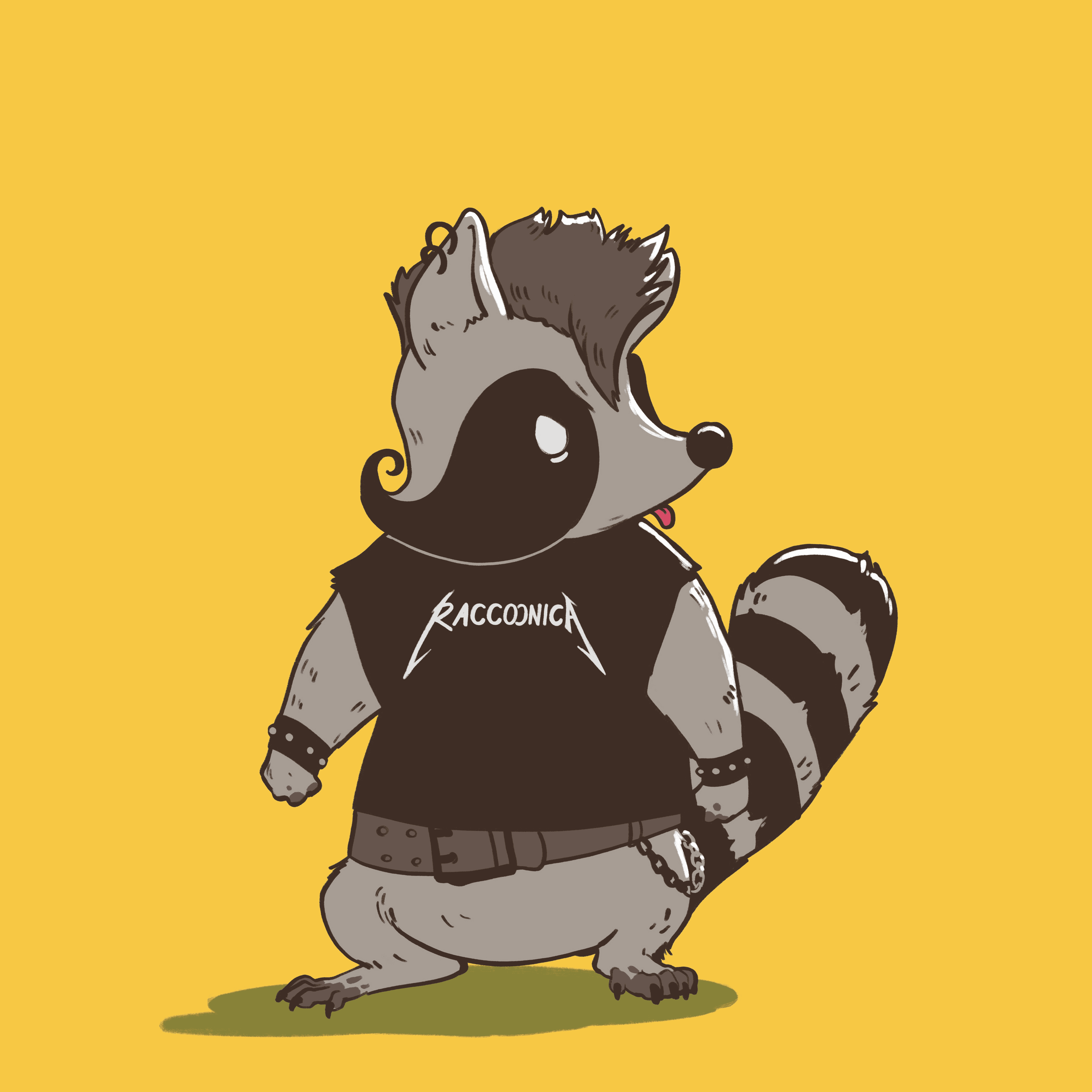 03 Teen Raccoon
