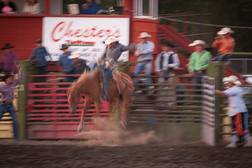 Wild Times At The Rodeo!