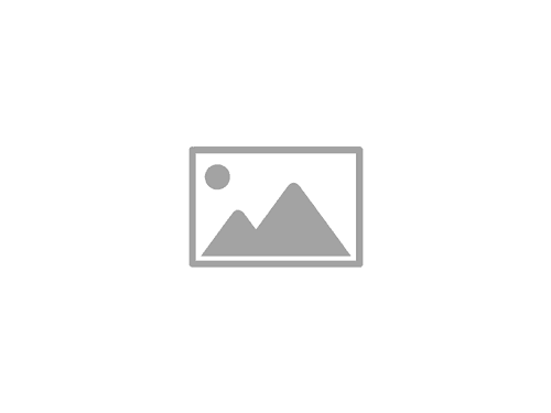 Bombi