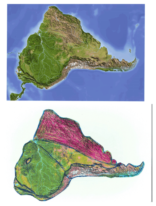 Appearances of continents