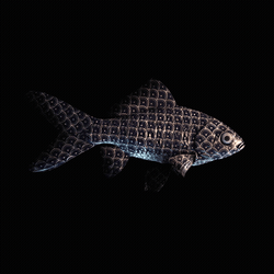 CryptoFish #3253