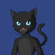 Master Cats #4763