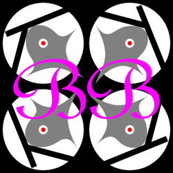 toshiakiart-inst-part-bb-video collection image