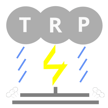 TheRainPress