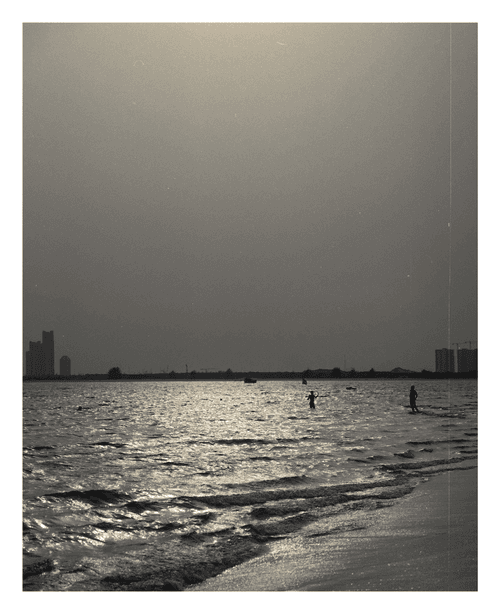 The Sun Kissed Shore