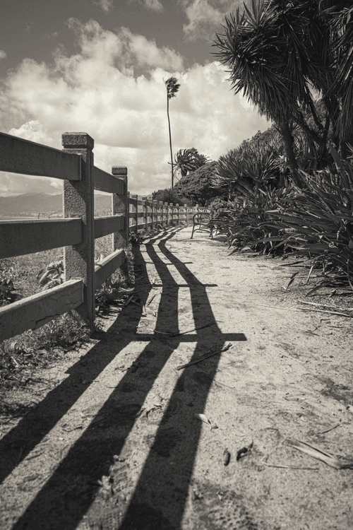Rodeo posts