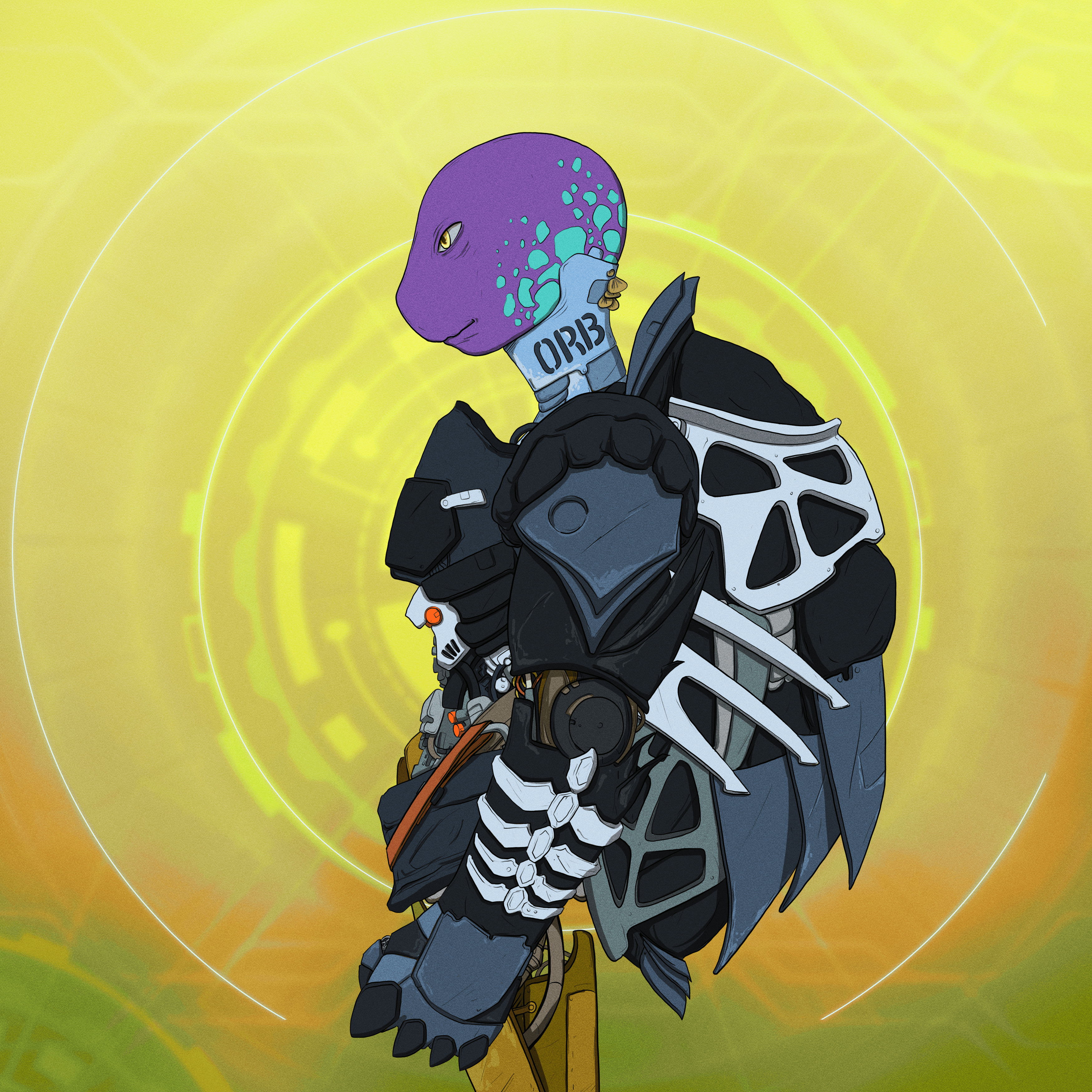 Shellz #6843