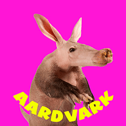 Aardvarks - Non Fungible Aardvarks collection image