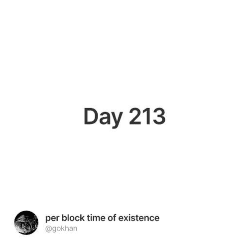 Day 213
