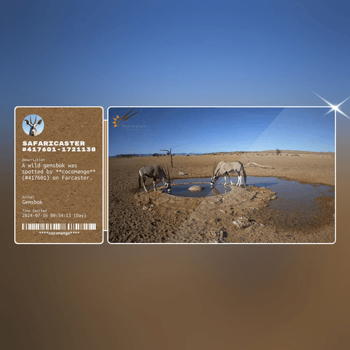Safaricaster