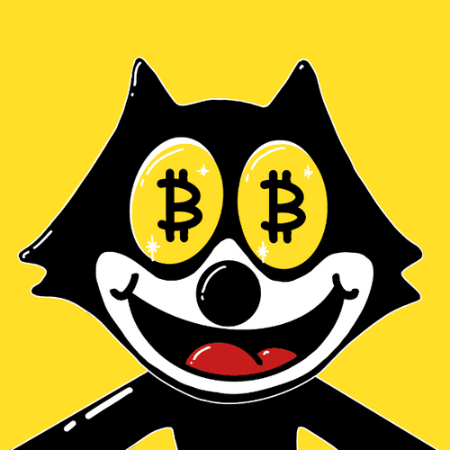 FLEX Crypto Cat