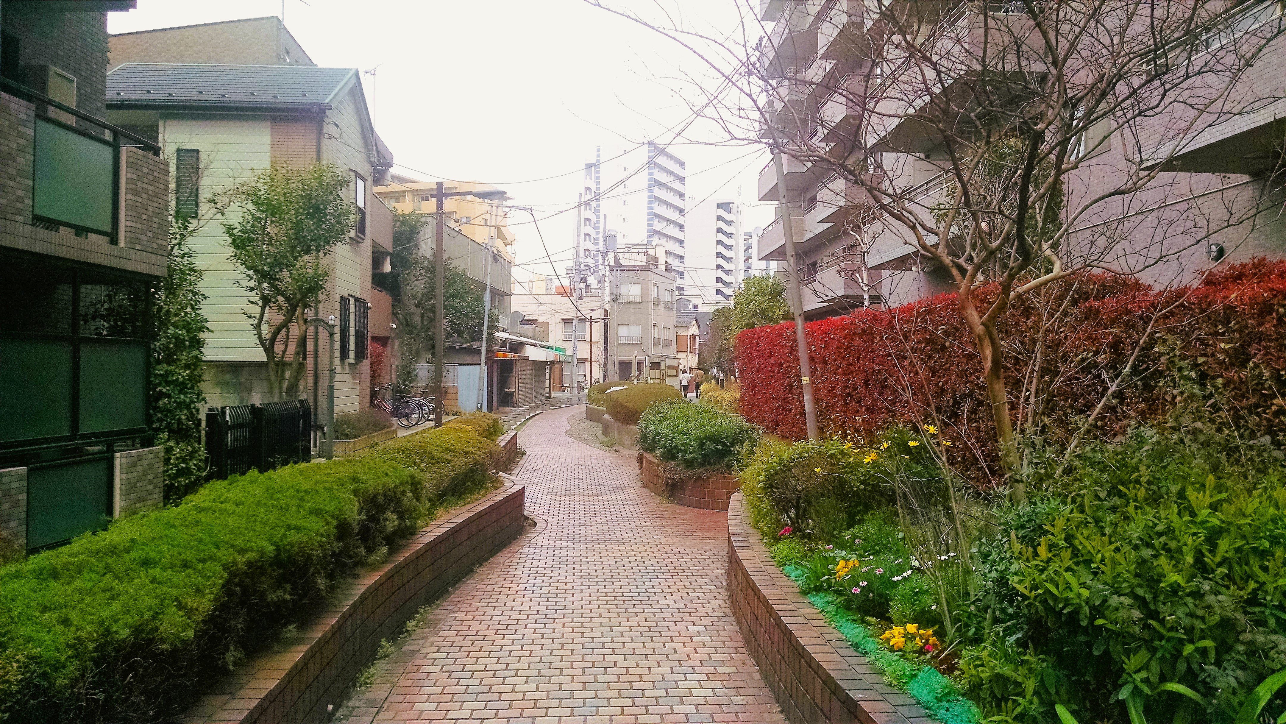 Brick Trail in West Ikebukuro