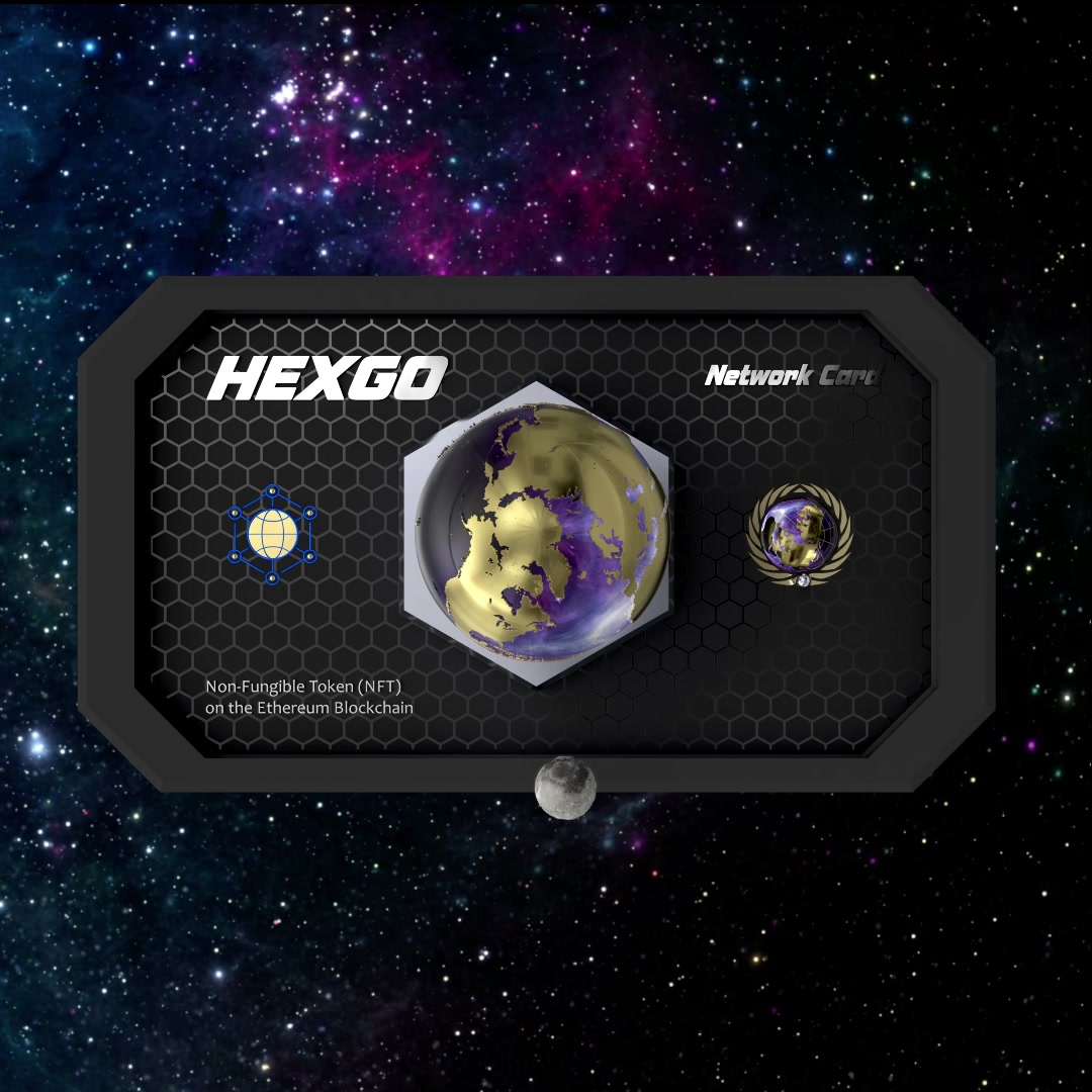 Hexgo Network Card #2481